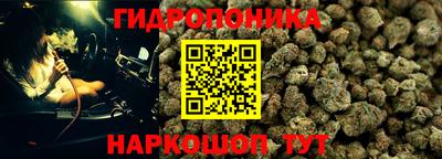 наркотики Будённовск