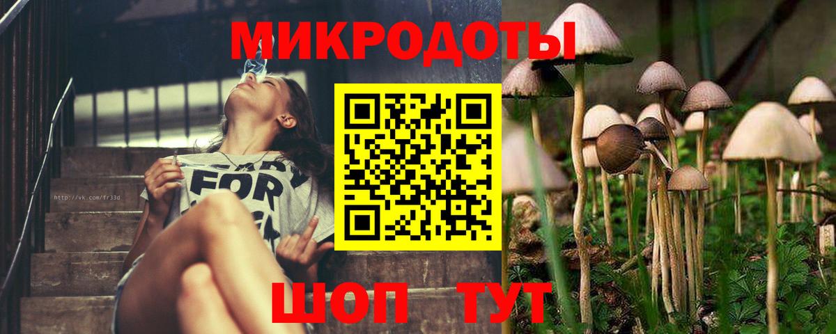 Галлюциногенные грибы прущие грибы  Вход с VPN  Галлюциногенные грибы MAGIC MUSHROOMS  закладка  Муравленко 